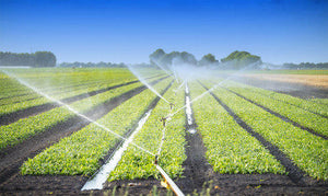 Agriculture irrigation with drones